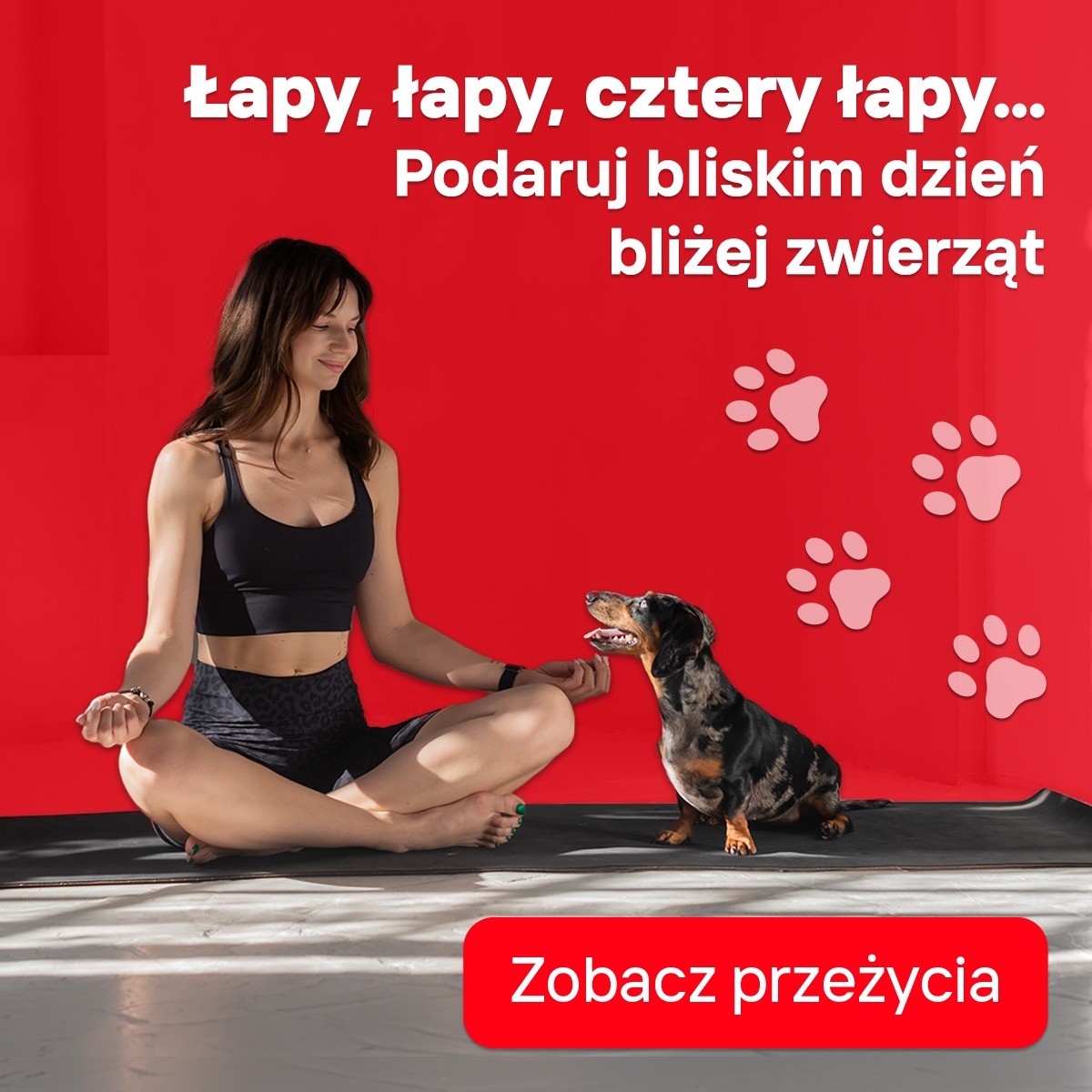 Prezent, który prosi się o przytulenie